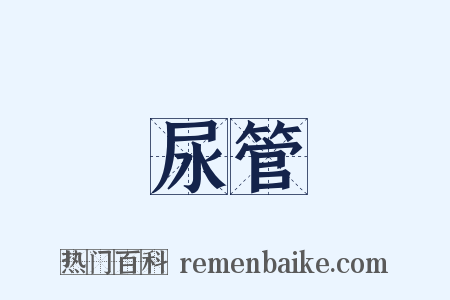 尿管是什么意思的图片